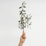 Blumen-Schön mediterranenes Pflanzenprogramm